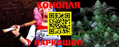 шишки Конаково