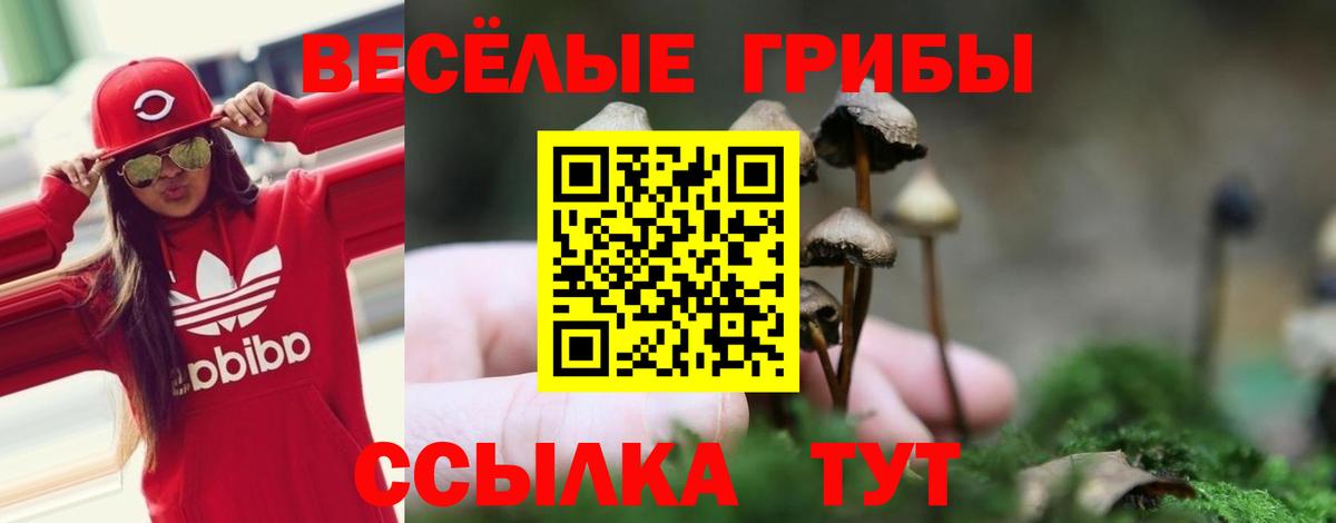 Чусовой  Псилоцибиновые грибы MAGIC MUSHROOMS  Вход с VPN 